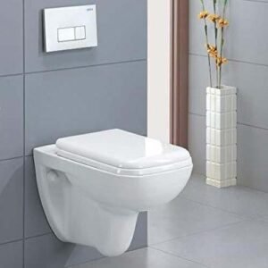 Wall-Hung Toilet